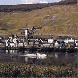 Ansicht auf Zell-Merl